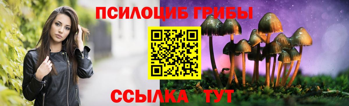 закладки  Вход с VPN  Ивантеевка  Галлюциногенные грибы GOLDEN TEACHER 